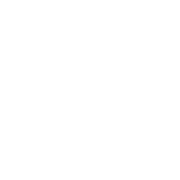 Acompañamiento profesional