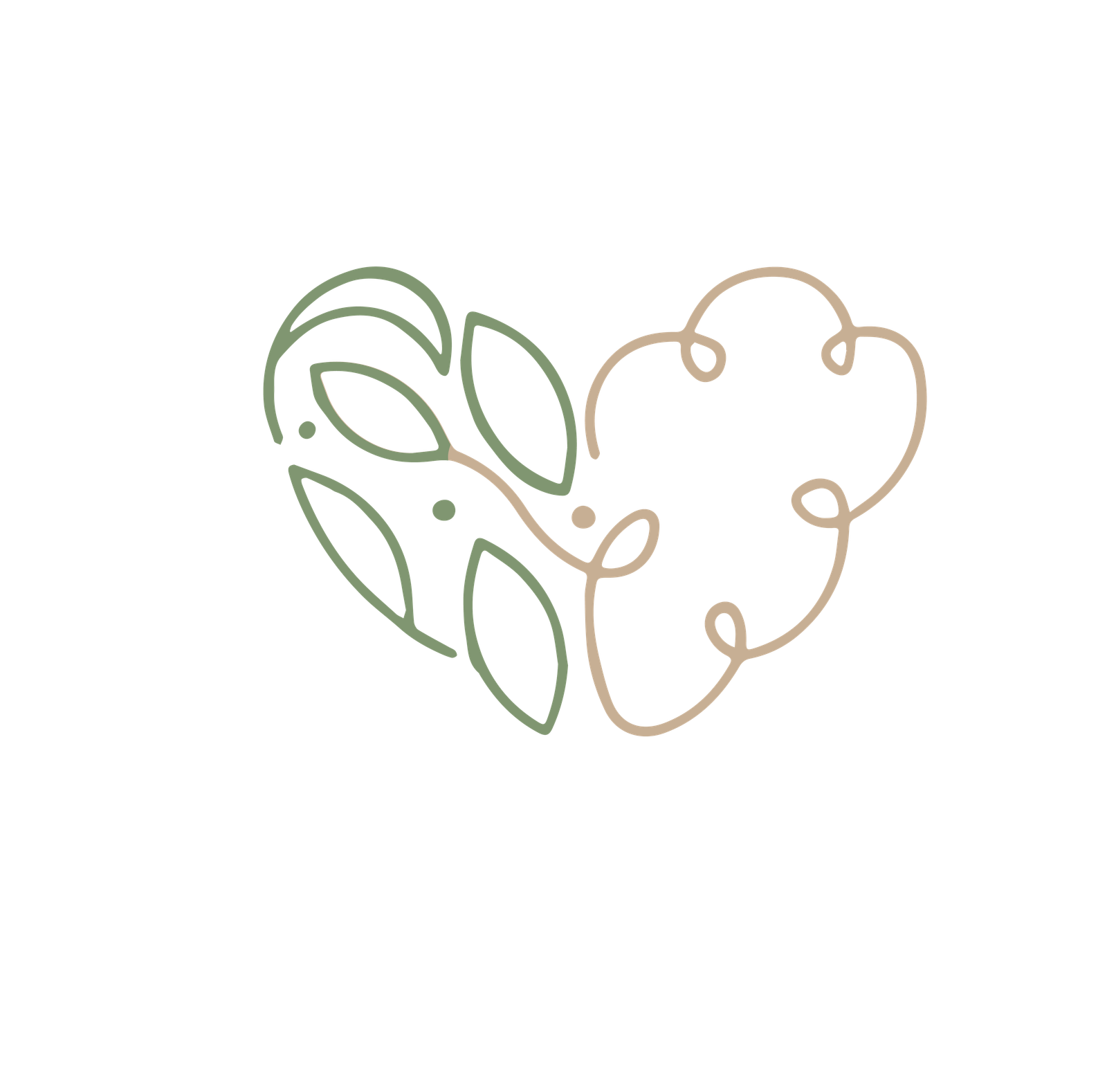 imagenologia-en-hidalgo